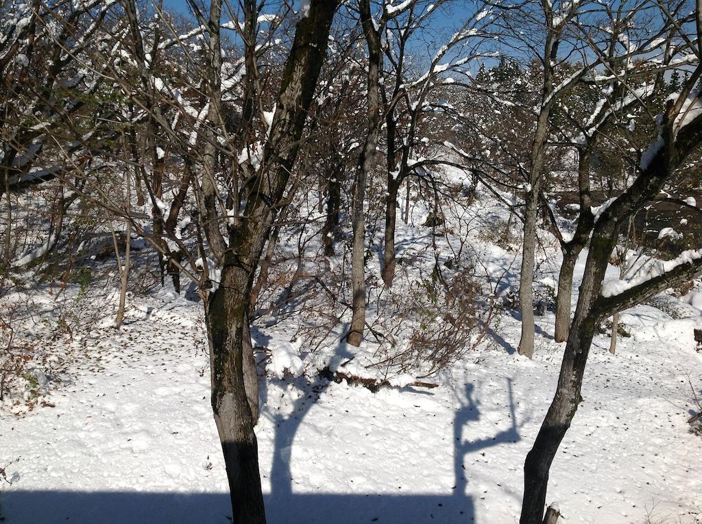 Myoko Kogen Pension Yamasan Exterior foto